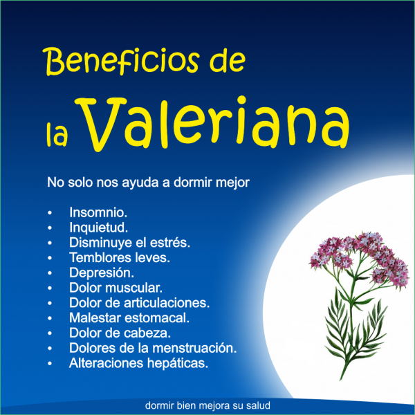 Valeriana gotas x 35 ml dormir bien siempre REGENERATUM - Imagen 3