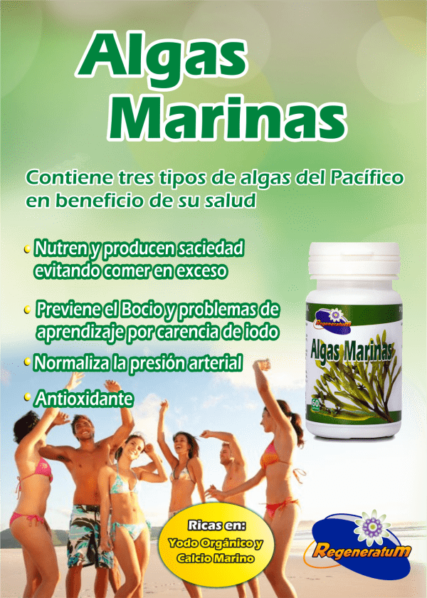 Algas marinas x 60 capsulas contenido protéico de fácil digestión REGENERATUM - Imagen 2