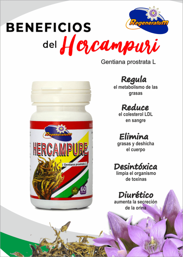 Hercampure x 60 capsulas REGENERATUM - Imagen 2