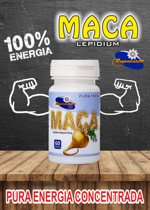 Lepidium maca x 60 capsulas potencia extra REGENERATUM - Imagen 2