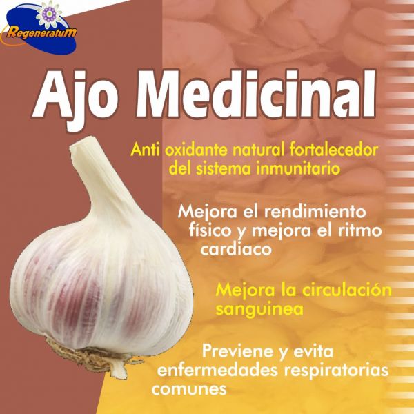 Ajo medicinal x 60 capsulas refuerza su sistema inmunologico REGENERATUM - Imagen 5