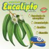 Aceite de eucalipto REGENERATUM - Imagen 2