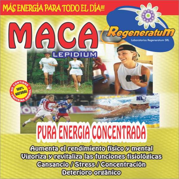 Lepidium maca x 60 capsulas potencia extra REGENERATUM - Imagen 3